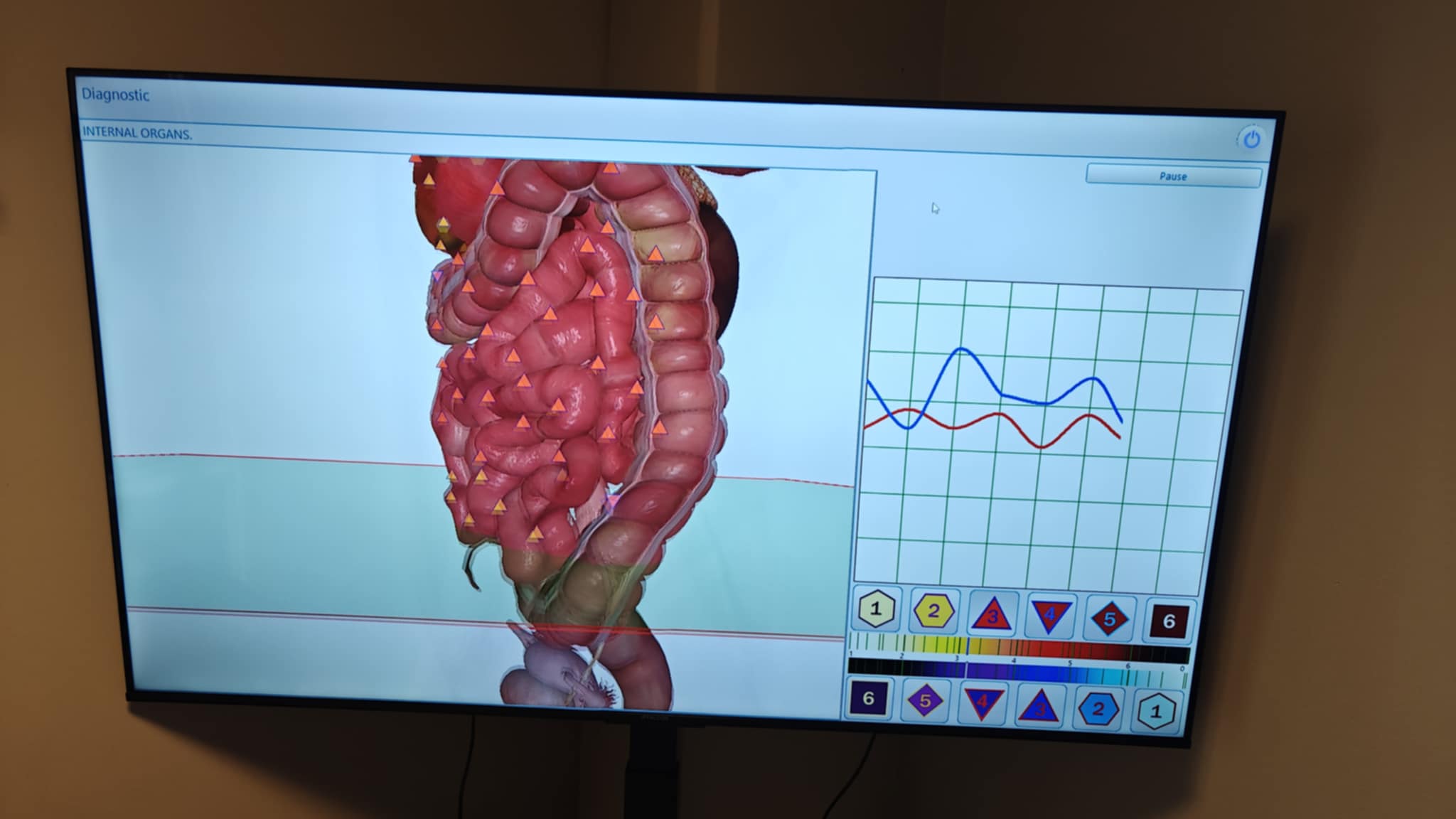 thrive-hive-clinic-metatron-statistics-screen-2